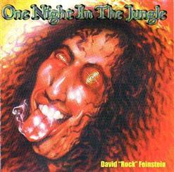 David "Rock" Feinstein - One Night in the Jungle (2000)